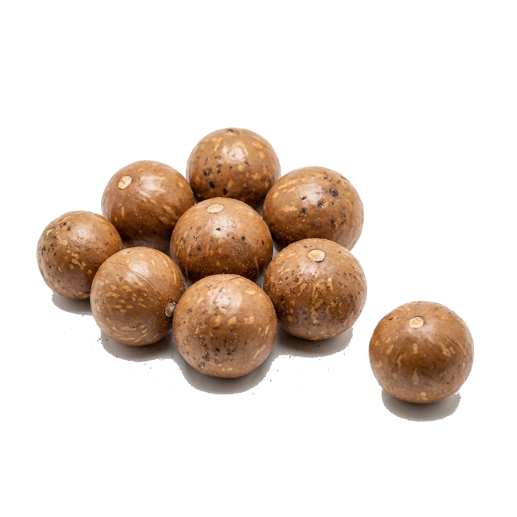 Macadamia i. d. Schale, roh, nicht vorgeknackt, Australien