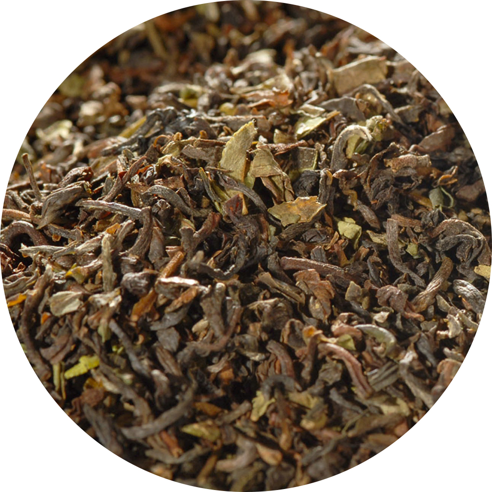 Darjeeling TGFOP1 Blend Silverhill Tee