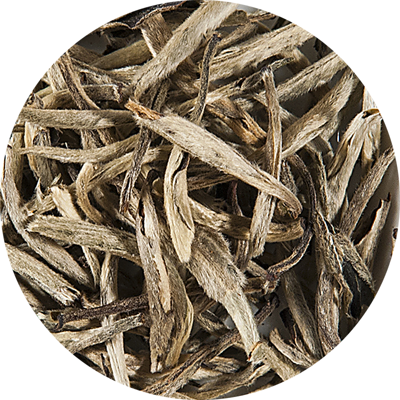 China YIN ZHEN SILVER NEEDLE Tee