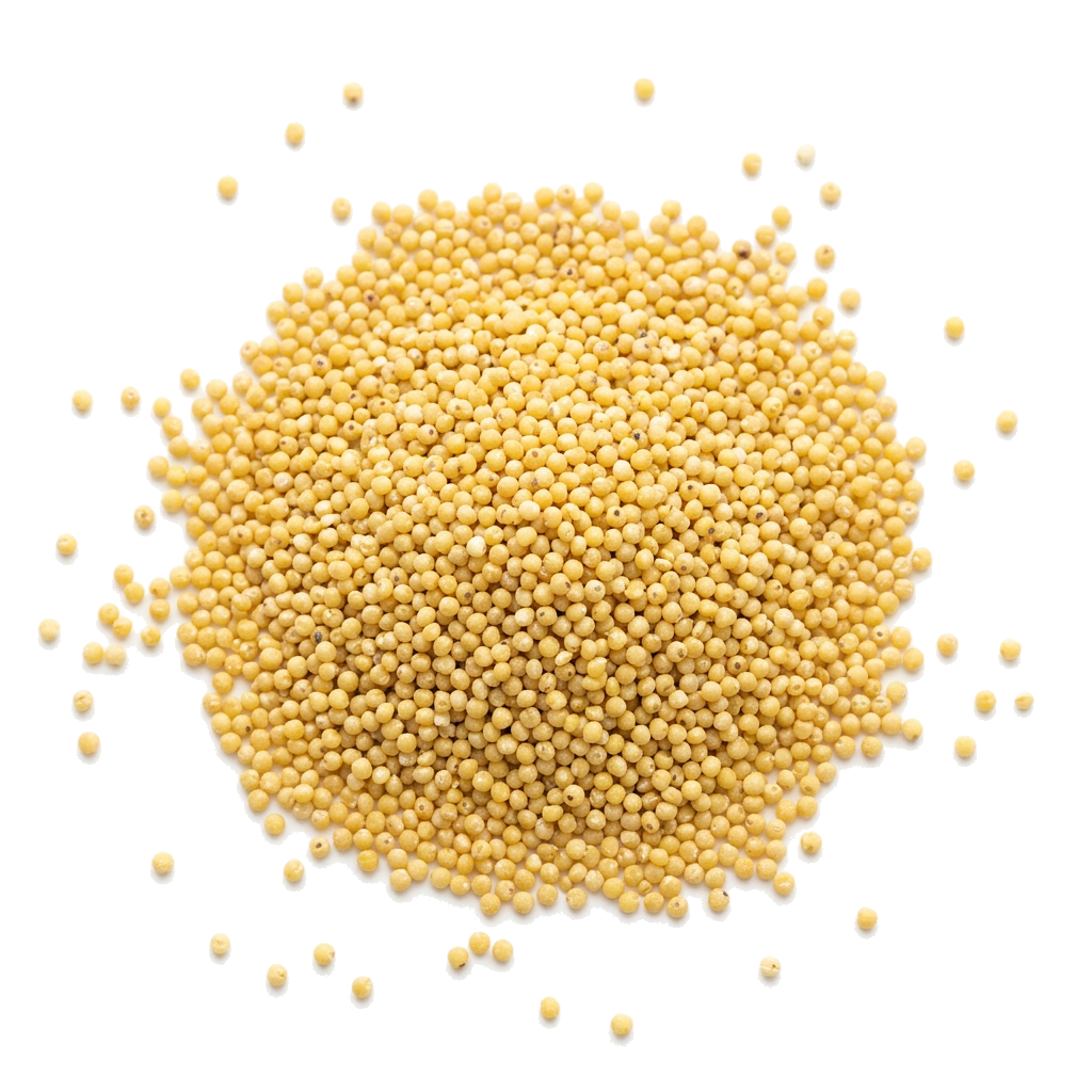 Bio Hirse goldgelb, geschält