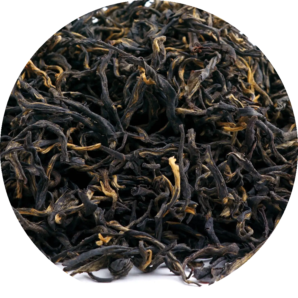 BIO Nepal HIB Jun Chiyabari Tee
