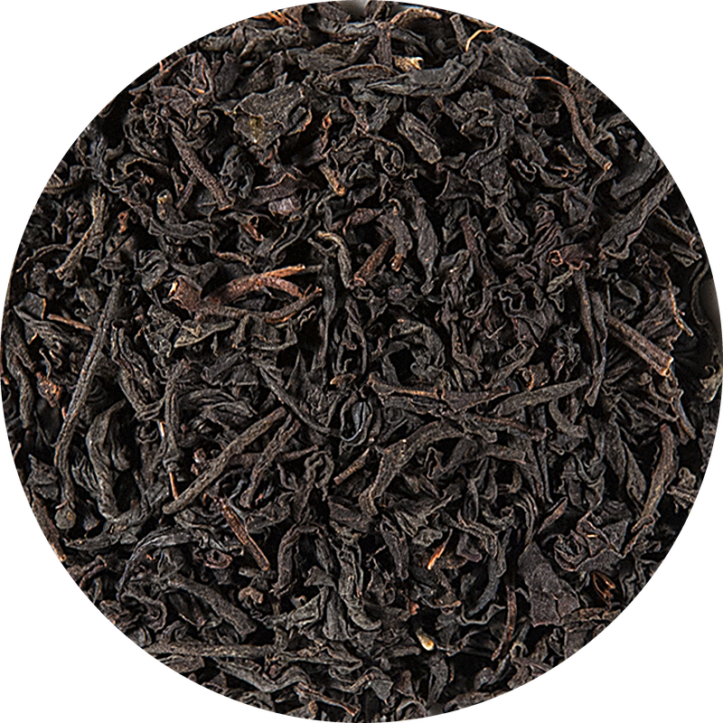 Ceylon OP KENILWORTH Tee