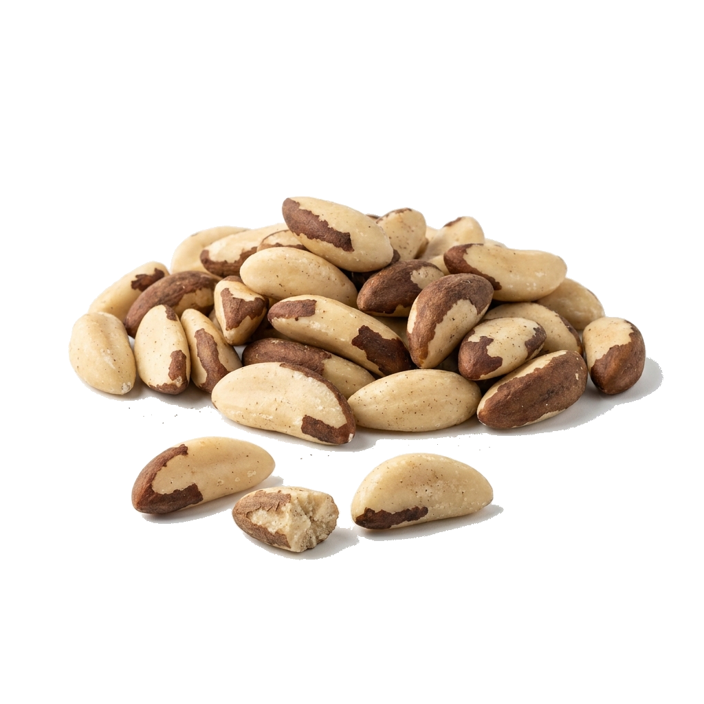 Paranusskerne, biologisch, Bolivien