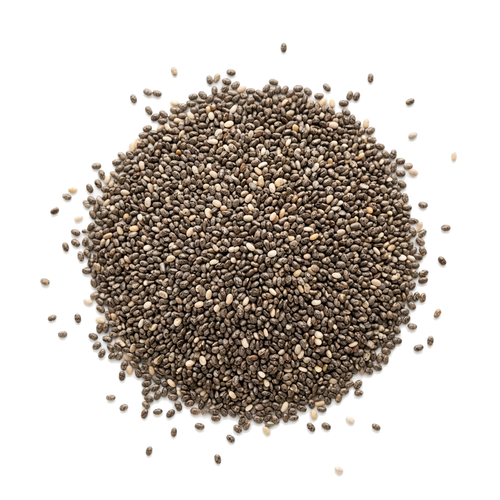 Chia Saat schwarz bio