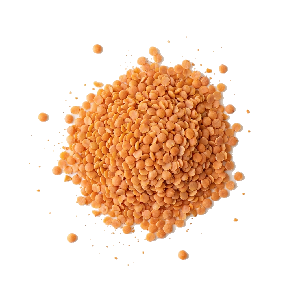 Bio Linsen rot