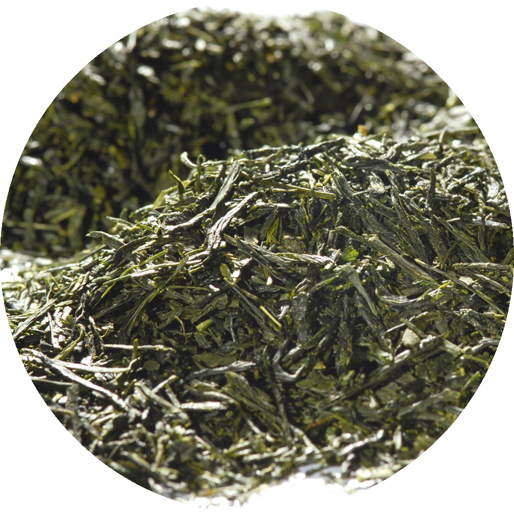 BIO Japan Gyokuro Himmelswiese Tee
