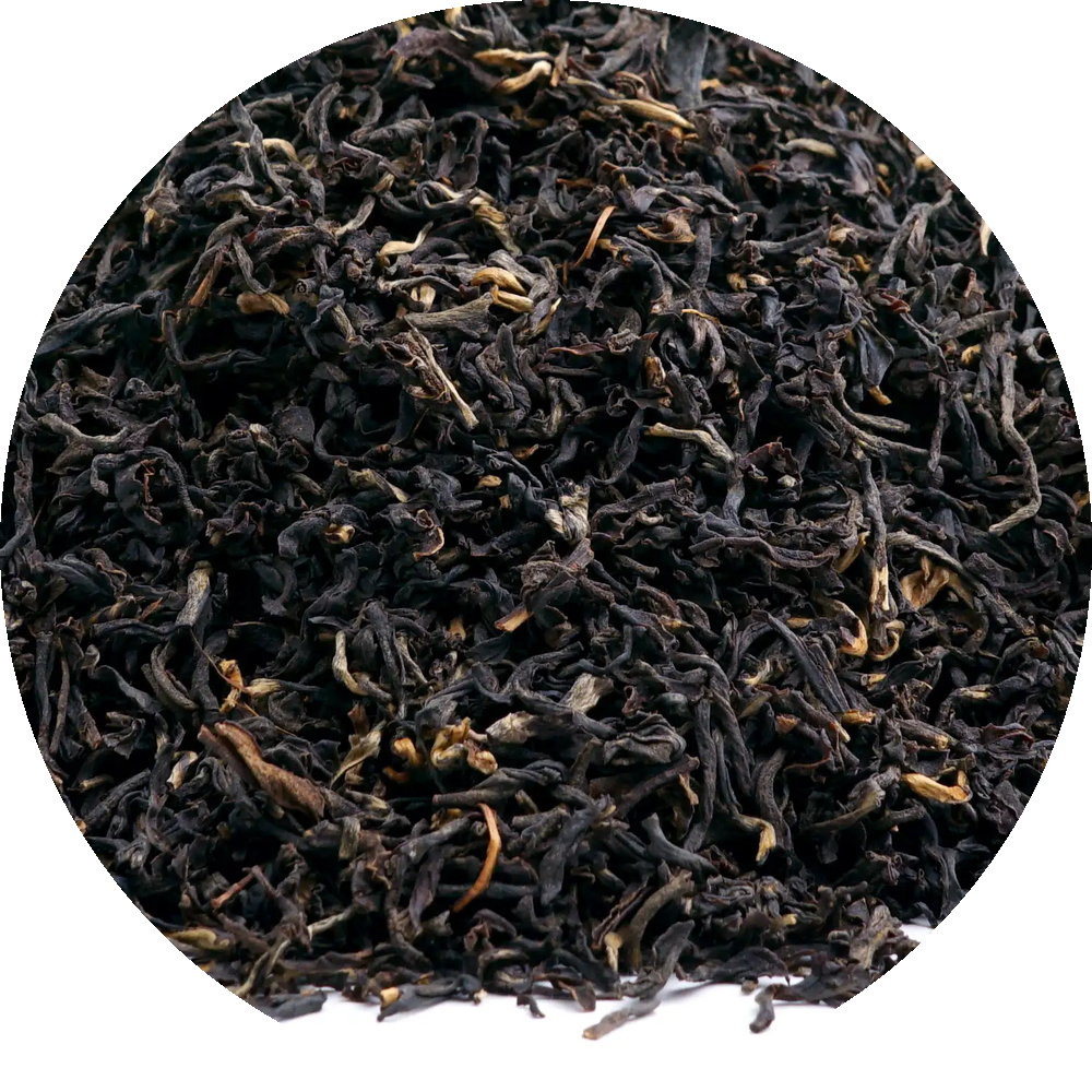Assam GTGFOP1 Dikom Tee