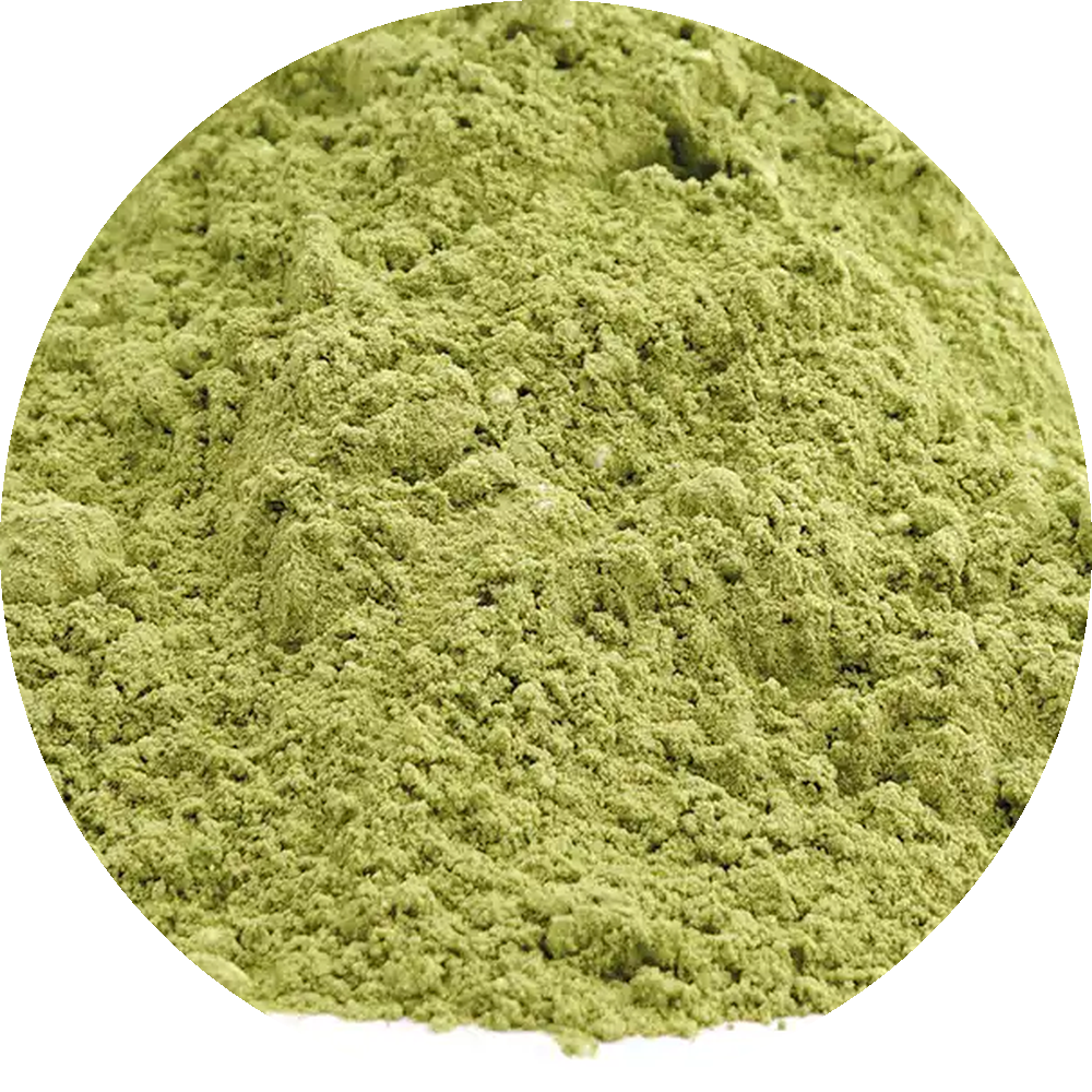 Matcha Latte Tee