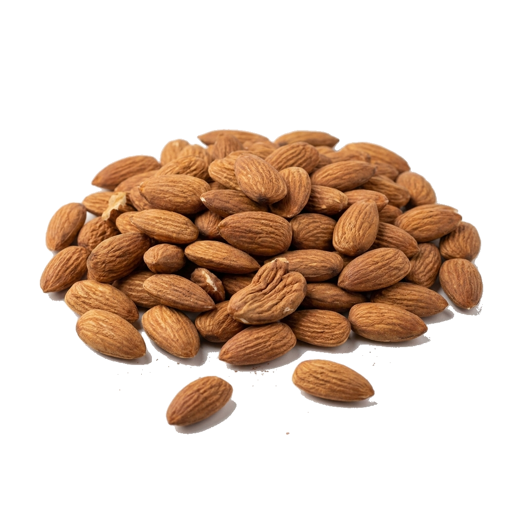 Mandelkerne biologisch, naturell, 12/14, Spanien