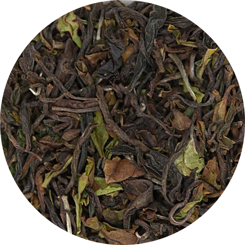Bio Darjeeling FTGFOP1 Arya 2026 Tee