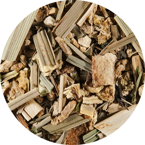 Ginger-Lemon-Mix Bio Tee