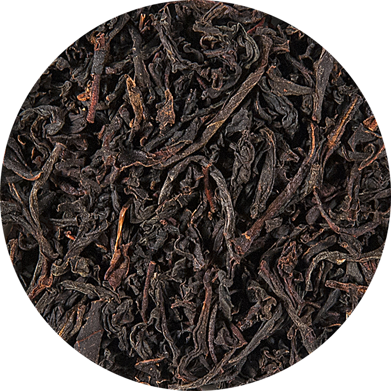 Ceylon OP BLACKWOOD Bio Tee
