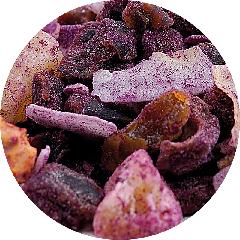 Früchtetee PURPLE PARADISE