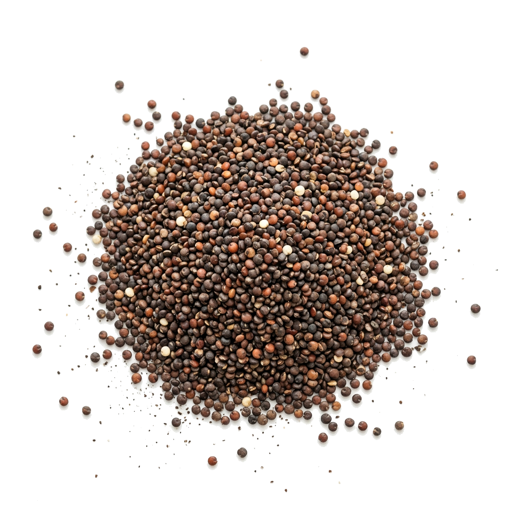 Quinoa bio, schwarz