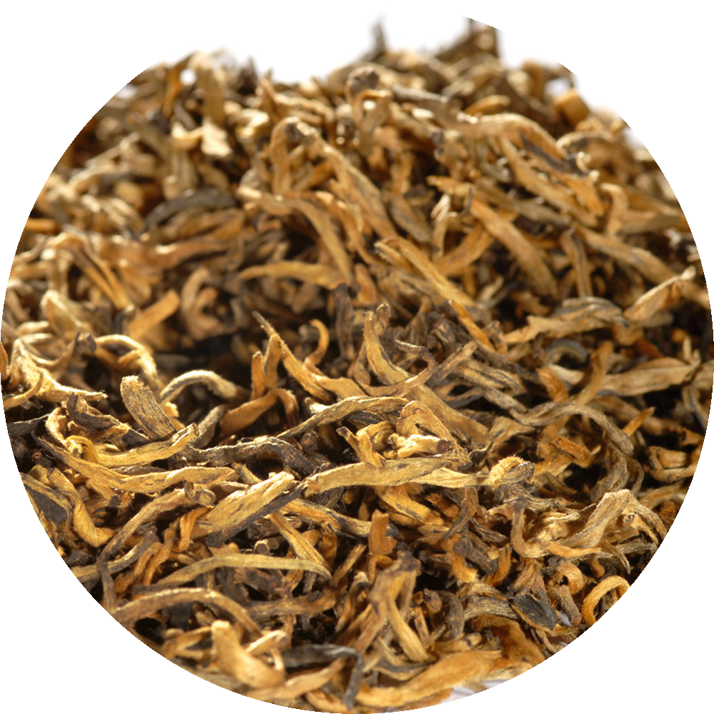 China Yunnan Diang Hong Golden Rain Tee