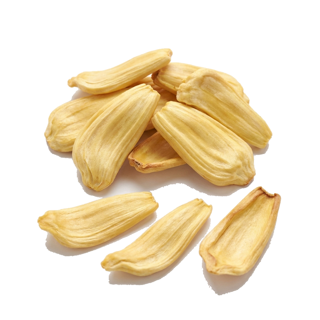Jackfruit-Scheiben, natur, Sri Lanka, bio
