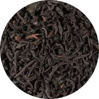Ceylon OP KENILWORTH Tee