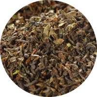 Darjeeling TGFOP1 Blend Silverhill Tee