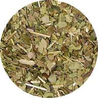 Mate grün Tee